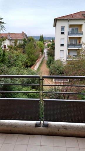 Bel appartement Type F2 vaux en velin Village 69120